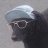 unionize dogs