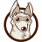 Aardwolf Team