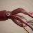 Squid