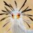 SecretaryBird