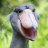 The Pie-Eyed Shoebill