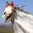 one million dead horses