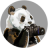 Rampant Panda 📷