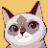chiyo :heart_sp_ace: