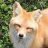 Aradia