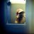Maaike