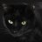 schwarze Katze ^^